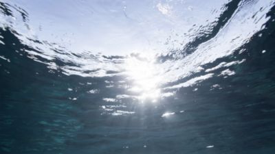 Hermès - エルメスの公式オンラインストア | Hermès - エルメス-公式サイト